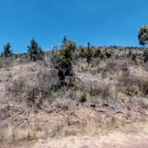 Terreno con Alto Potencial de Desarrollo en Rancho San Antonio Montecillo, Calpulalpan, Tlaxcala
