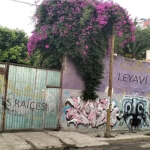 Terreno en Venta sobre Avenida Xalostoc, Ecatepec | Ubicación Estratégica para Desarrollo Comercial, Industrial y de Servicios